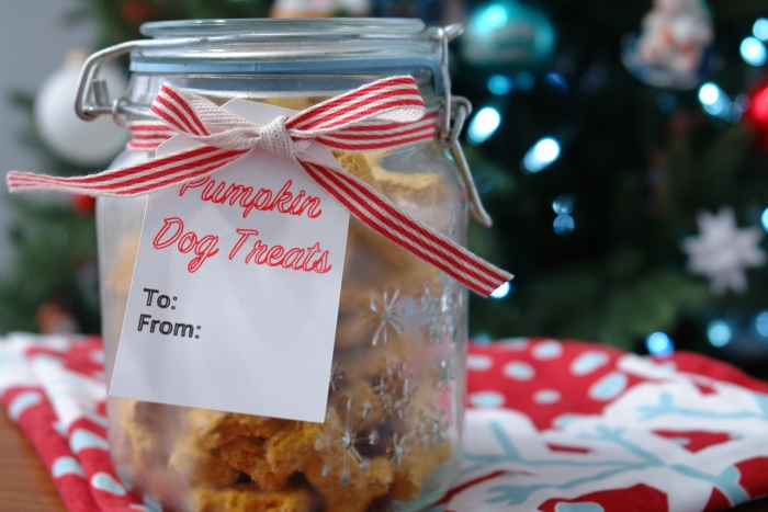 homemade dog treats in jar in front of christmas tree