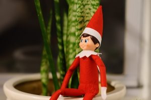 elf on the shelf sitting on plant