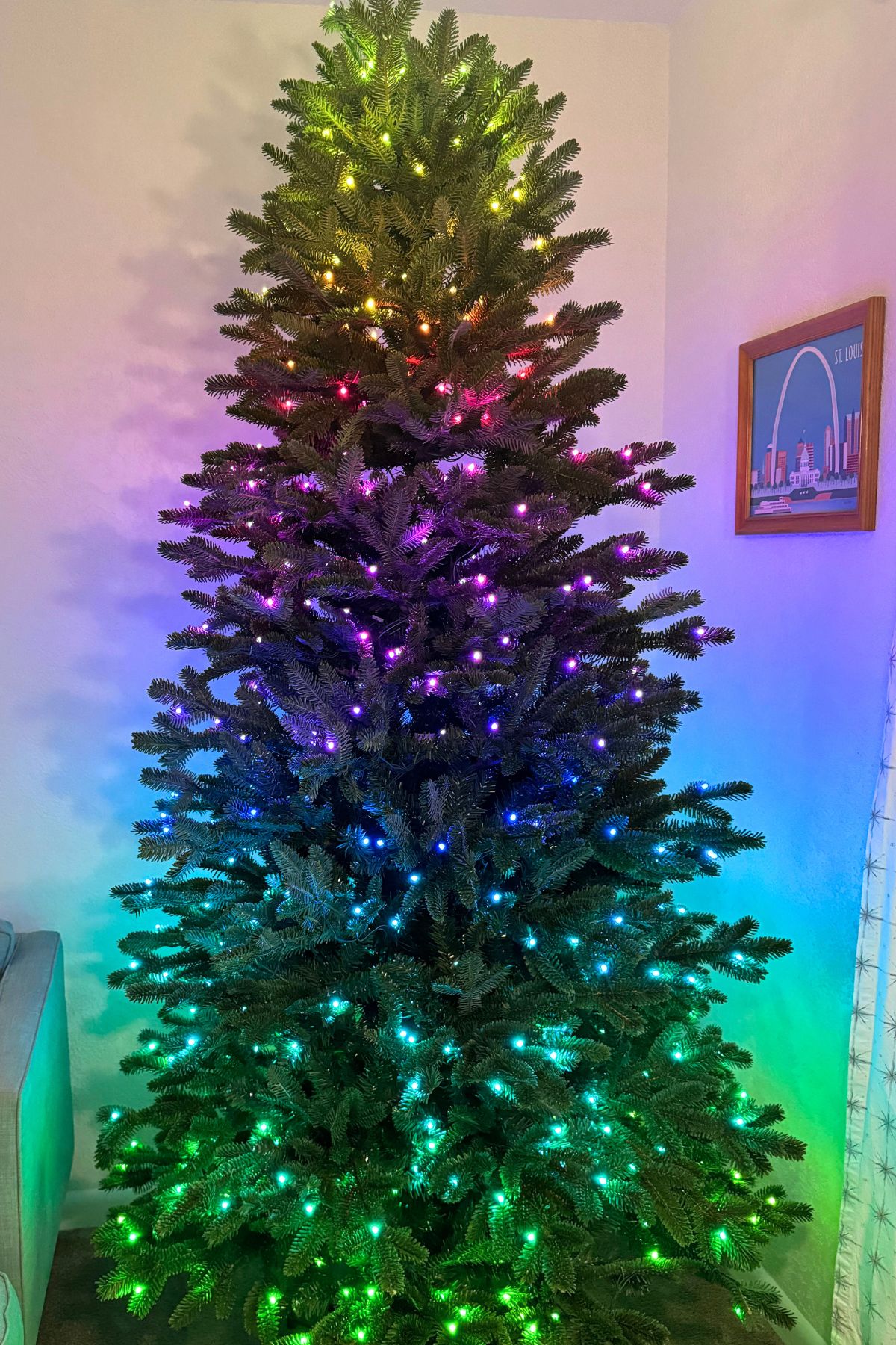 Balsam Hill Fraser Fir Tree with rainbow lights